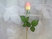 Роза в бутоне, 48 см.