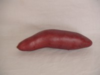 Муляж "Картофель красный" 15 см., пластик