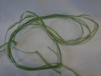 Хлорофитум зелёный, ширина 1 см, цена за 10 метров.