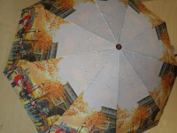 Зонт женский автомат, 9 спиц, цветной, "ГОРОД" осень.