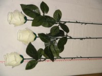 Роза-бутон 74 см., D= 5*3 см., пластик, ткань, белая