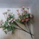Куст хризантем мелких 44 см, цена за 1 штуку.  розовые оттенки.
