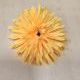 Голова хризантемы атласной 14 см, цена за 1 штуку, Выписывать кратно 20 штукам. Цвет - жёлтый.