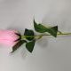 Ветка бутона розы 44 см, цена за 1 штуку. Выписывать кратно 10 штукам. Цвет - светло-розовый.