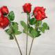 Роза красная 73 см., D=6*5 см.