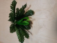 Куст папоротника 44 см 15 листков
