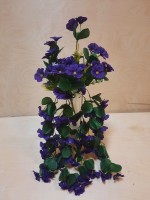 Куст фиалки подвесной, 54 см, цвет - фиолетовый.