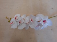 Ветка Орхидеи 97 см силиконовая, цвет - бело-розовый.