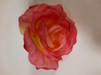 Насадка розы "Империал" 11,5 см, цена за 1 штуку. Цвет - жёлто-розовый.