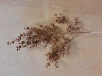 Ветка жасмина декоративная, 102 см, цвет - коричневый.