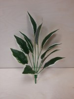 Куст 45 см, бело-зелёные листья, 12 веток.