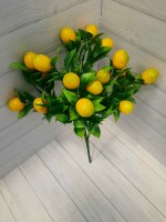 Куст лимонника, 35 см, цена за 1 куст. Выписывать кратно 2 штукам.