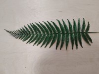 Лист с напылением 32/45 см, цвет - зелёный.