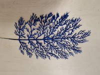 Лист с напылением 28/45 см, цвет - синий.