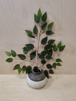 Ветка фикуса 62 см, цена за 1 штуку. Выписывать кратно 12 штукам.