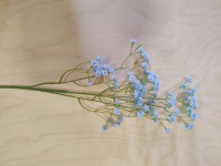 Ветка гипсофилы, 62 см, цвет - голубой.