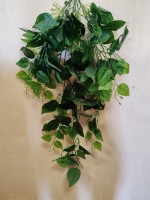 Куст зелени 100 см, лист лимона, зелёный.