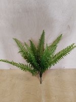 Куст папоротника, 60 см