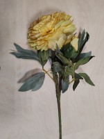 Ветка пиона жёлтого, 1 голова + 1 букет, 72 см.