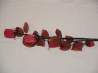 Ветка роз декоративная, 90 см, ткань, дерево.